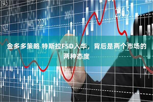 金多多策略 特斯拉FSD入华，背后是两个市场的两种态度