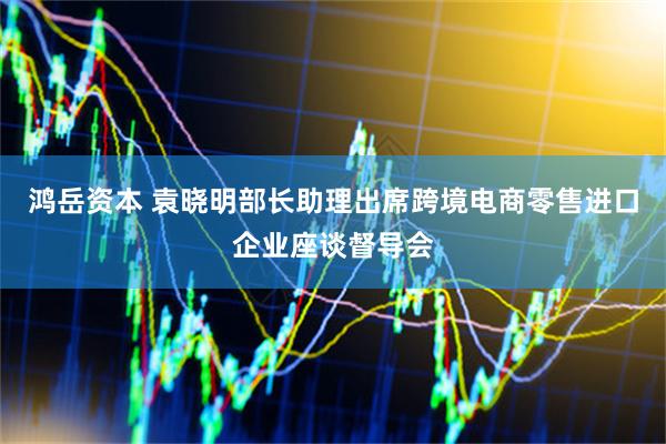 鸿岳资本 袁晓明部长助理出席跨境电商零售进口企业座谈督导会