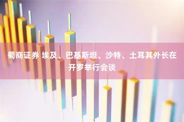 蜀商证券 埃及、巴基斯坦、沙特、土耳其外长在开罗举行会谈